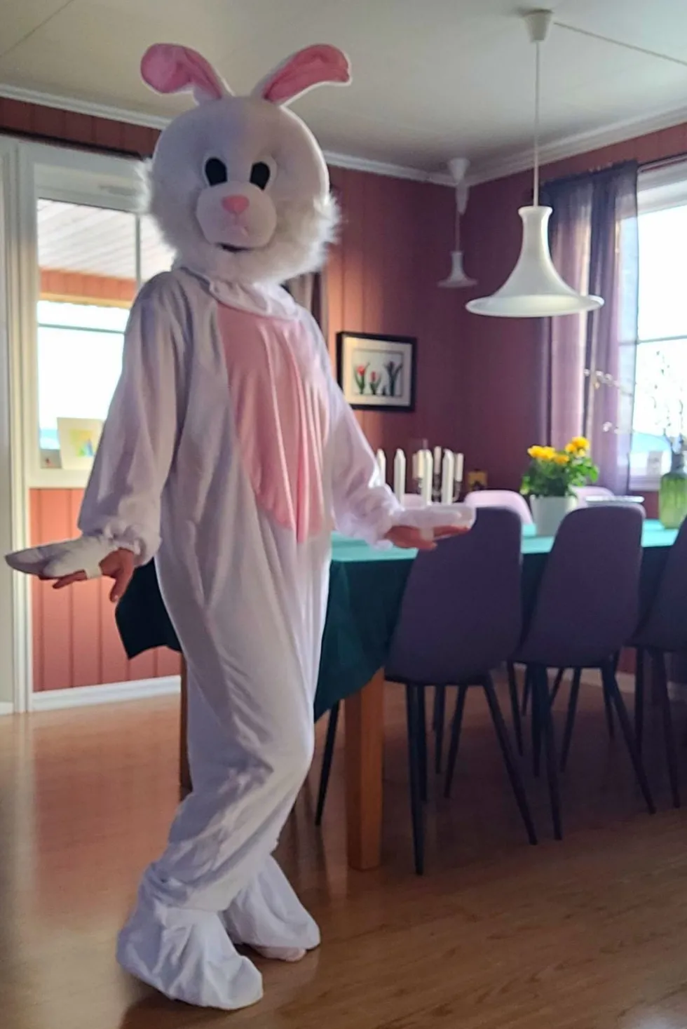 Kaninmaskot Kostume
