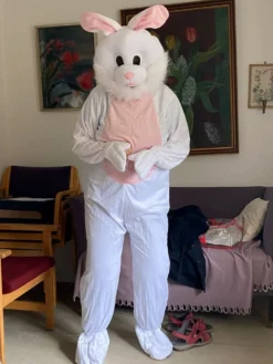 Kaninmaskot Kostume