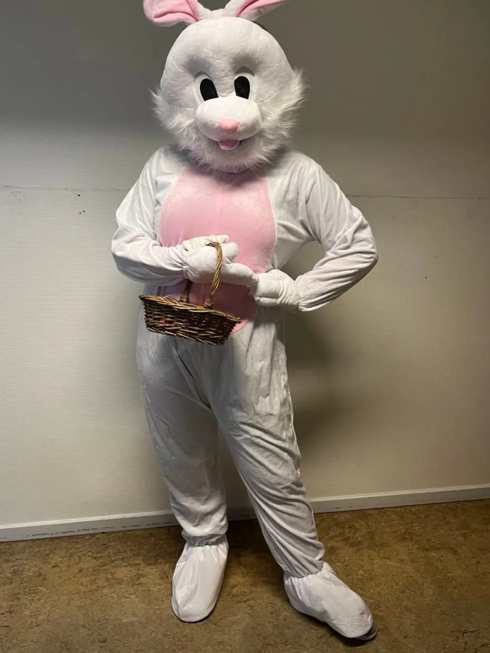 Kaninmaskot Kostume
