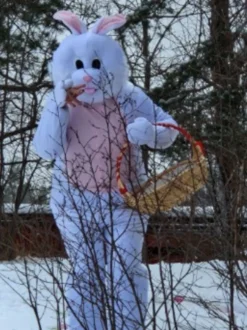 Kaninmaskot Kostume