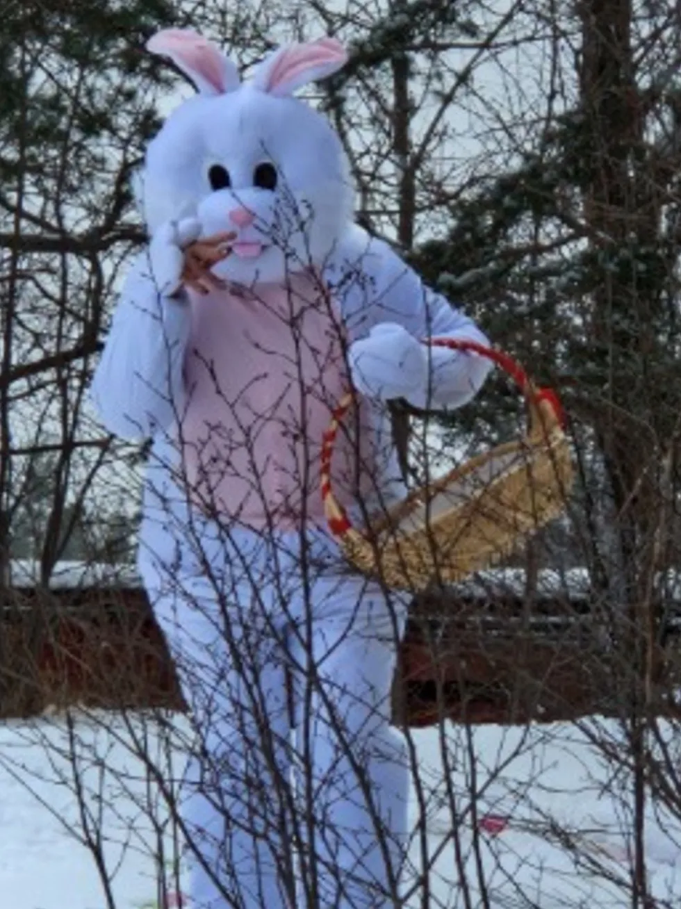 Kaninmaskot Kostume
