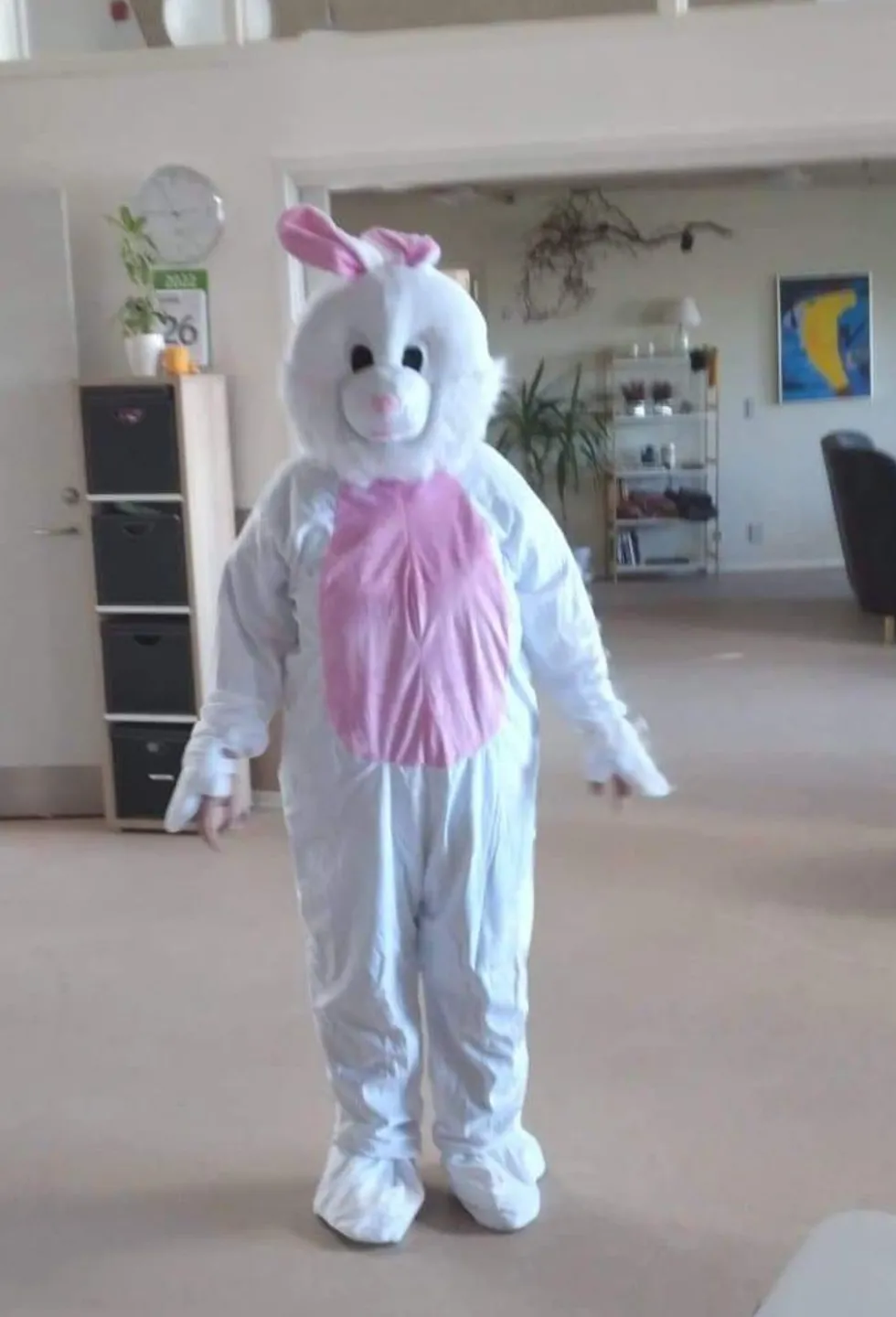 Kaninmaskot Kostume