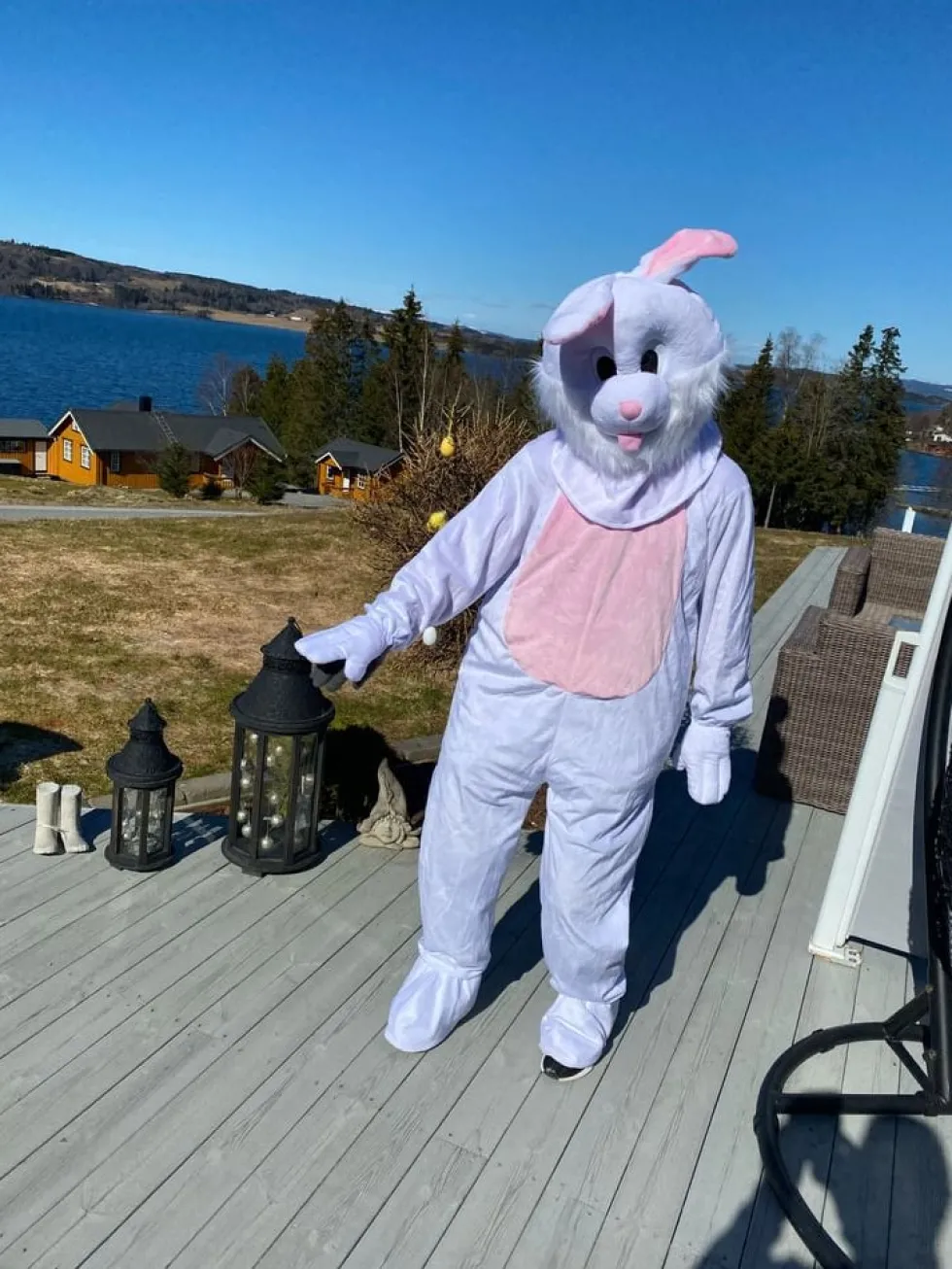 Kaninmaskot Kostume