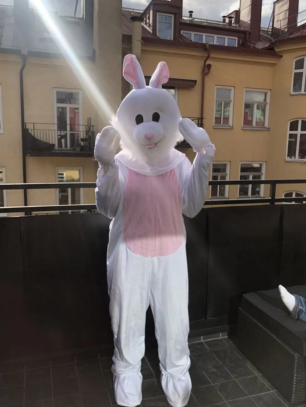 Kaninmaskot Kostume