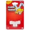 Kanintænder