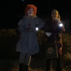 Klovnen IT Damekostume