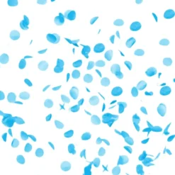Kæmpeballon Gender Reveal