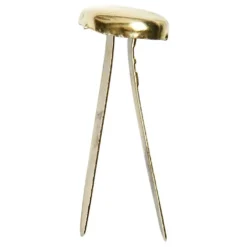 Konvolutklemmer Guld