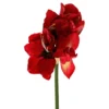 Kunstig Dekorationskvist Amaryllis