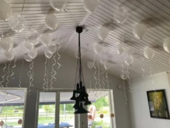 Loftballoner Hvid