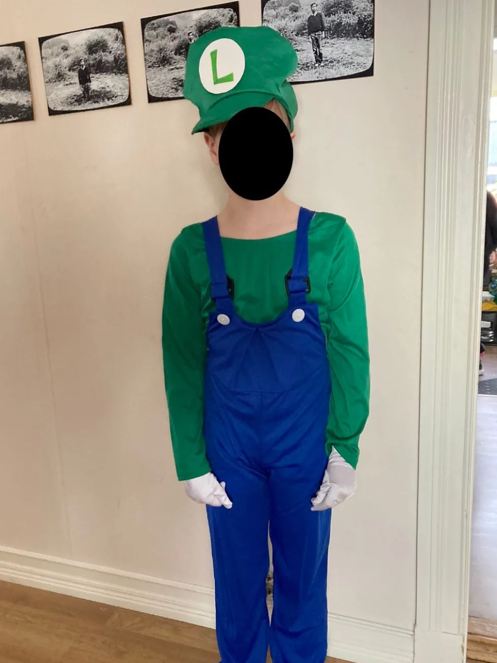 Luigi Børnekostume Budget
