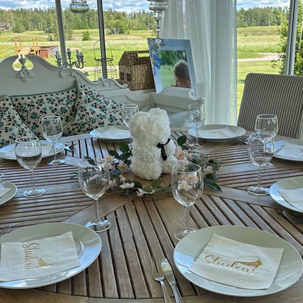 Lyserød Bjørn Hvid