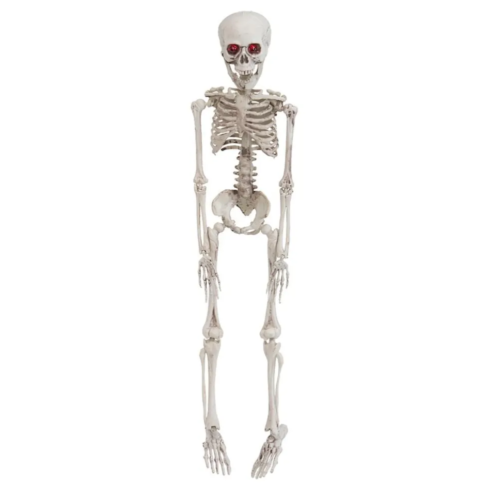 Mini-skelet rekvisit