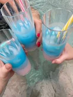 Monin Bubblegum Sirup