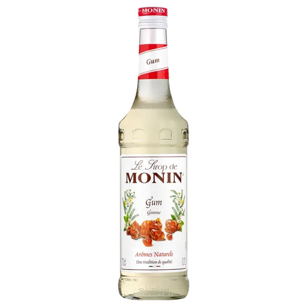 Monin Gomme Sirup