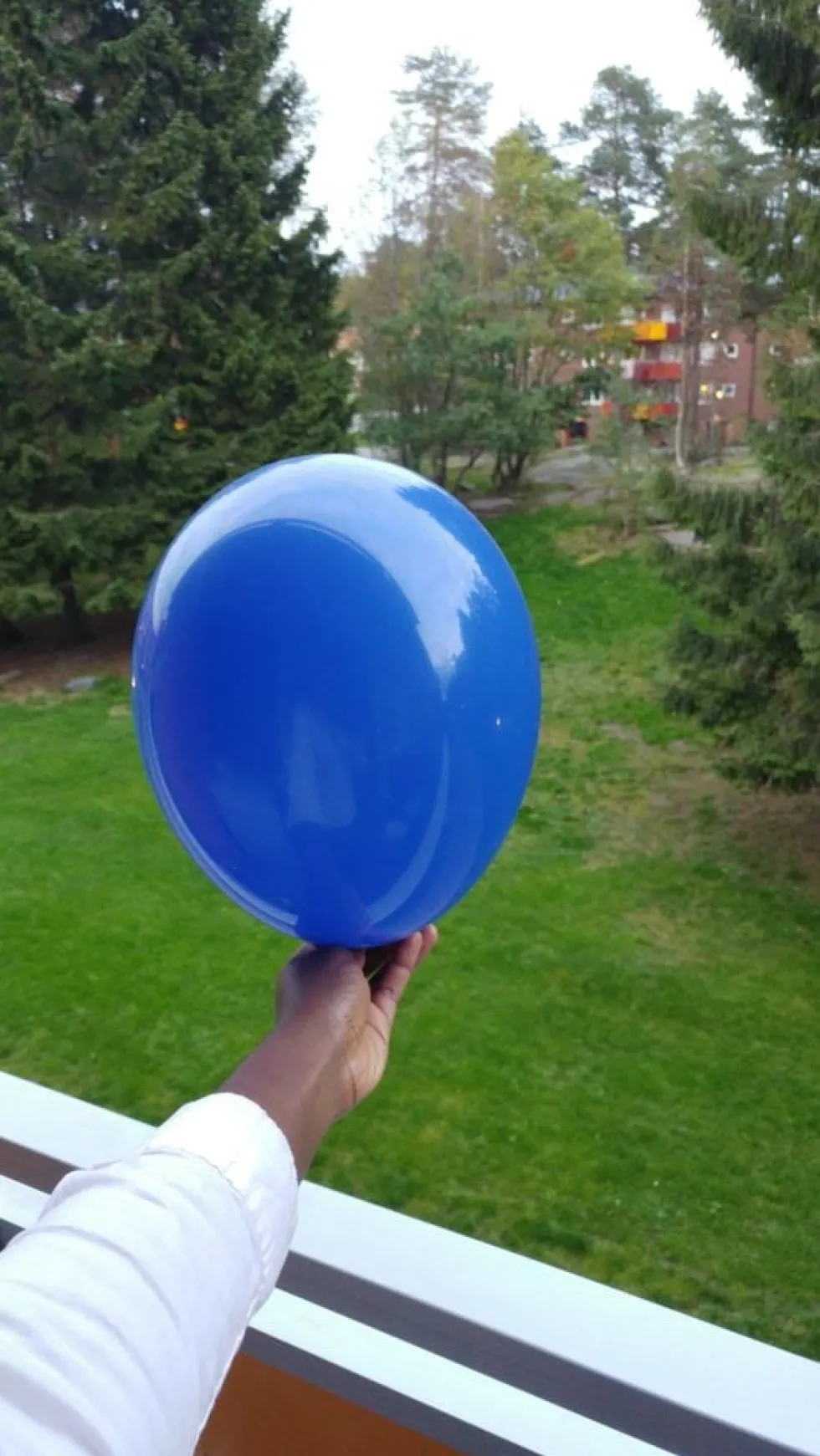 Mørkeblå Balloner