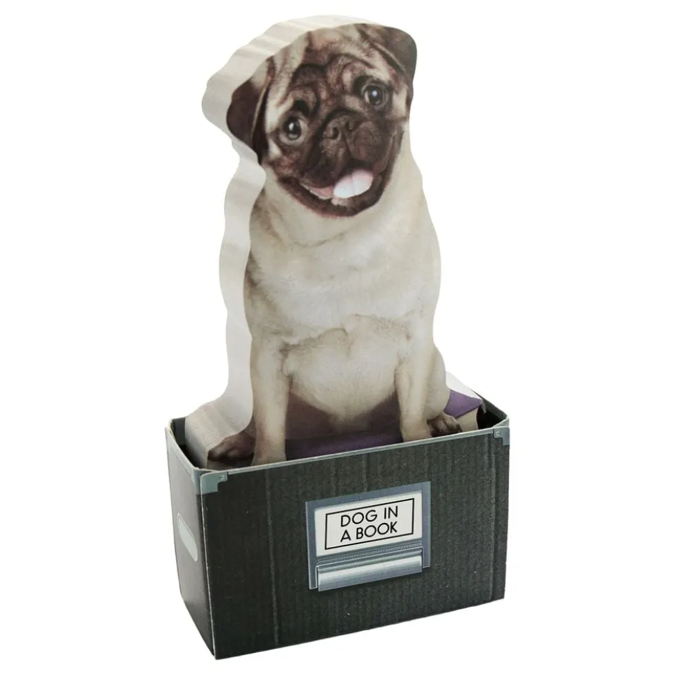 Mustard Dog In A Box Sticky Notes