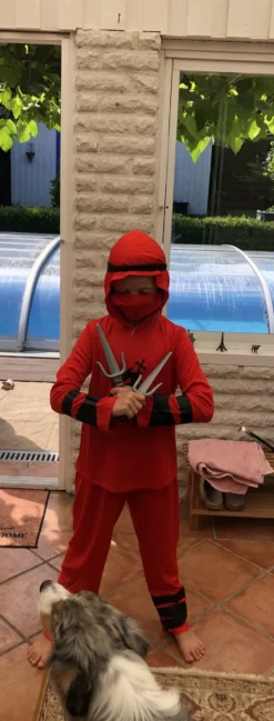 Ninja Våben Kit