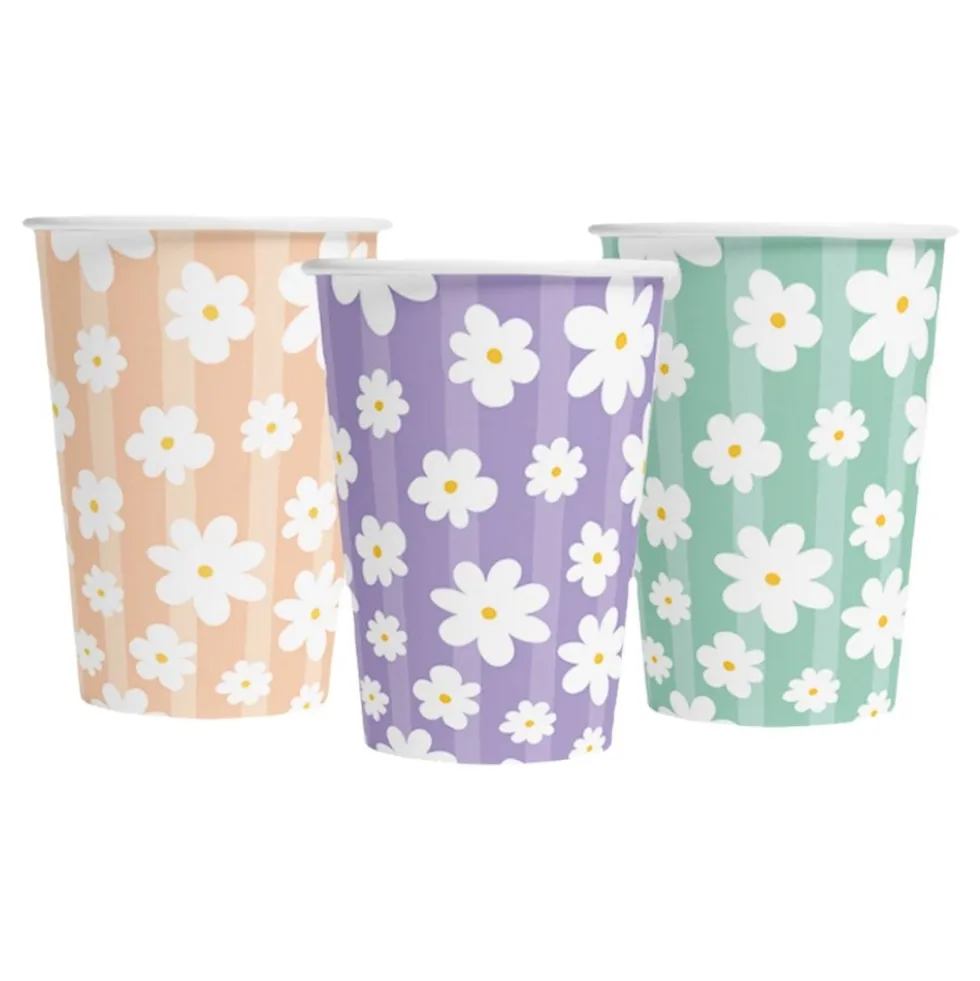 Papkrus Daisies