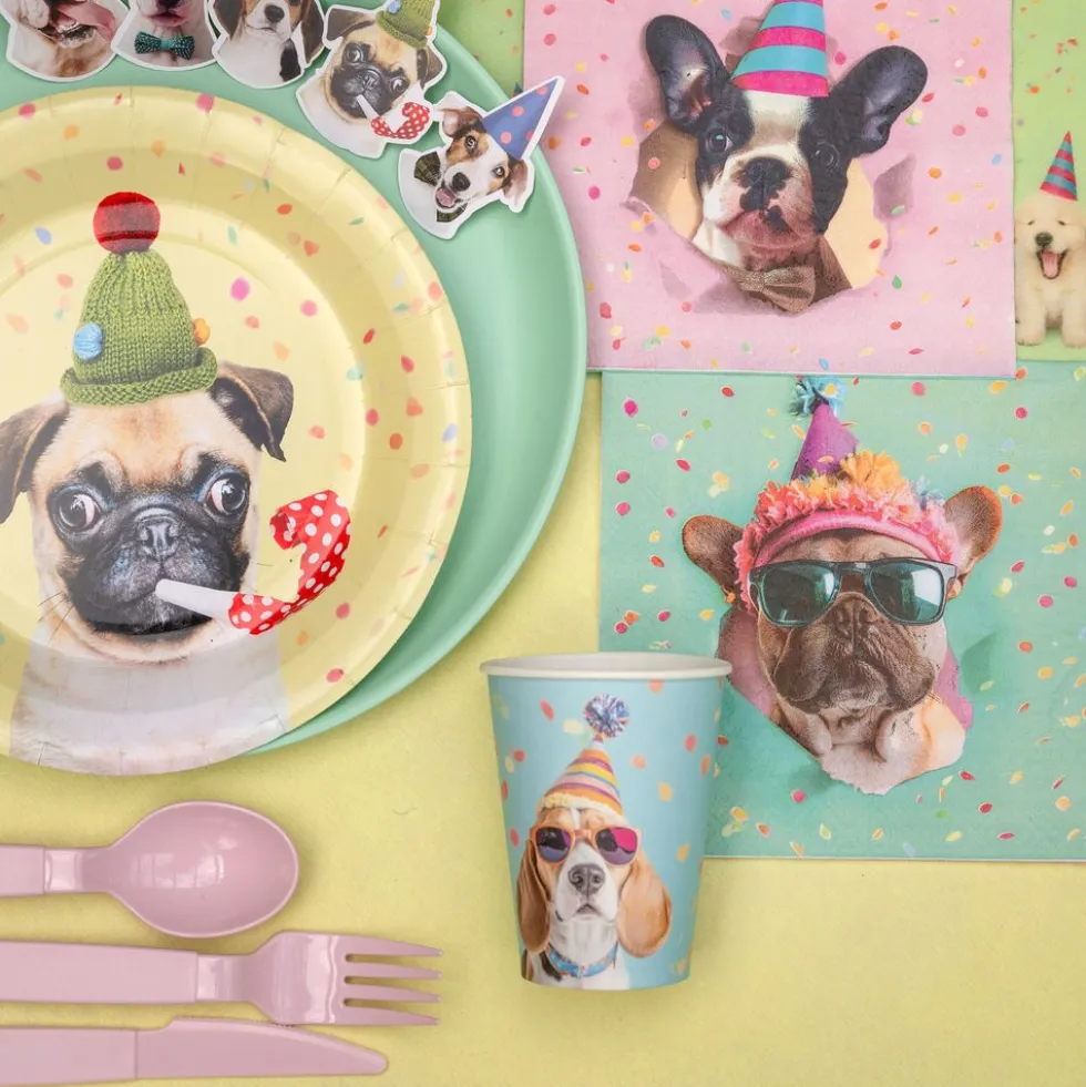 Papkrus Party Hund
