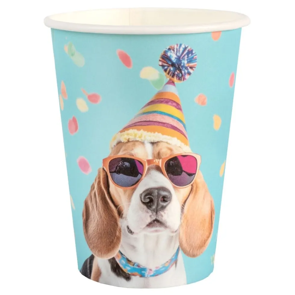 Papkrus Party Hund
