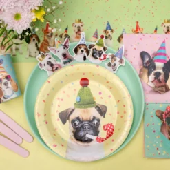 Paptallerkener Party Hund