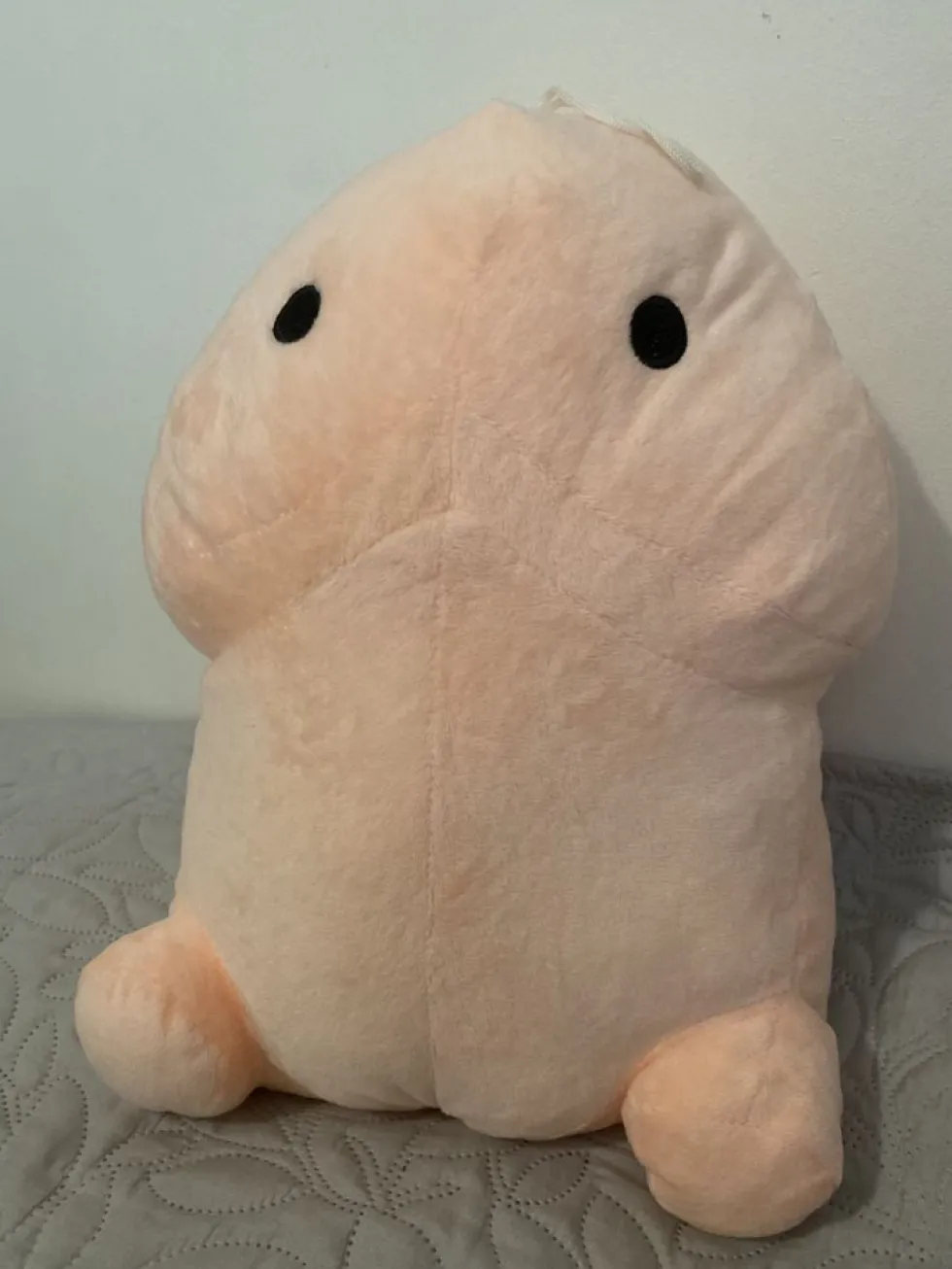 Penispude