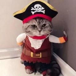 Pirat Kostume Kat/Hund