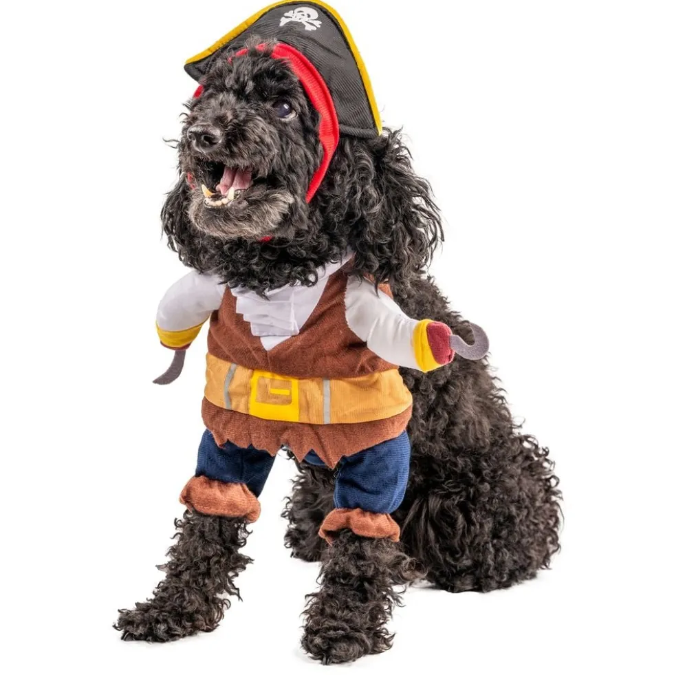 Pirat Kostume Kat/Hund