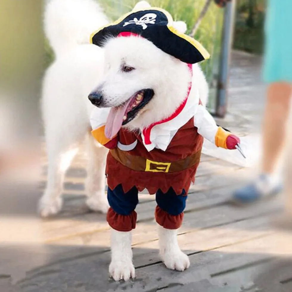 Pirat Kostume Kat/Hund