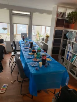 Plastdug Blå