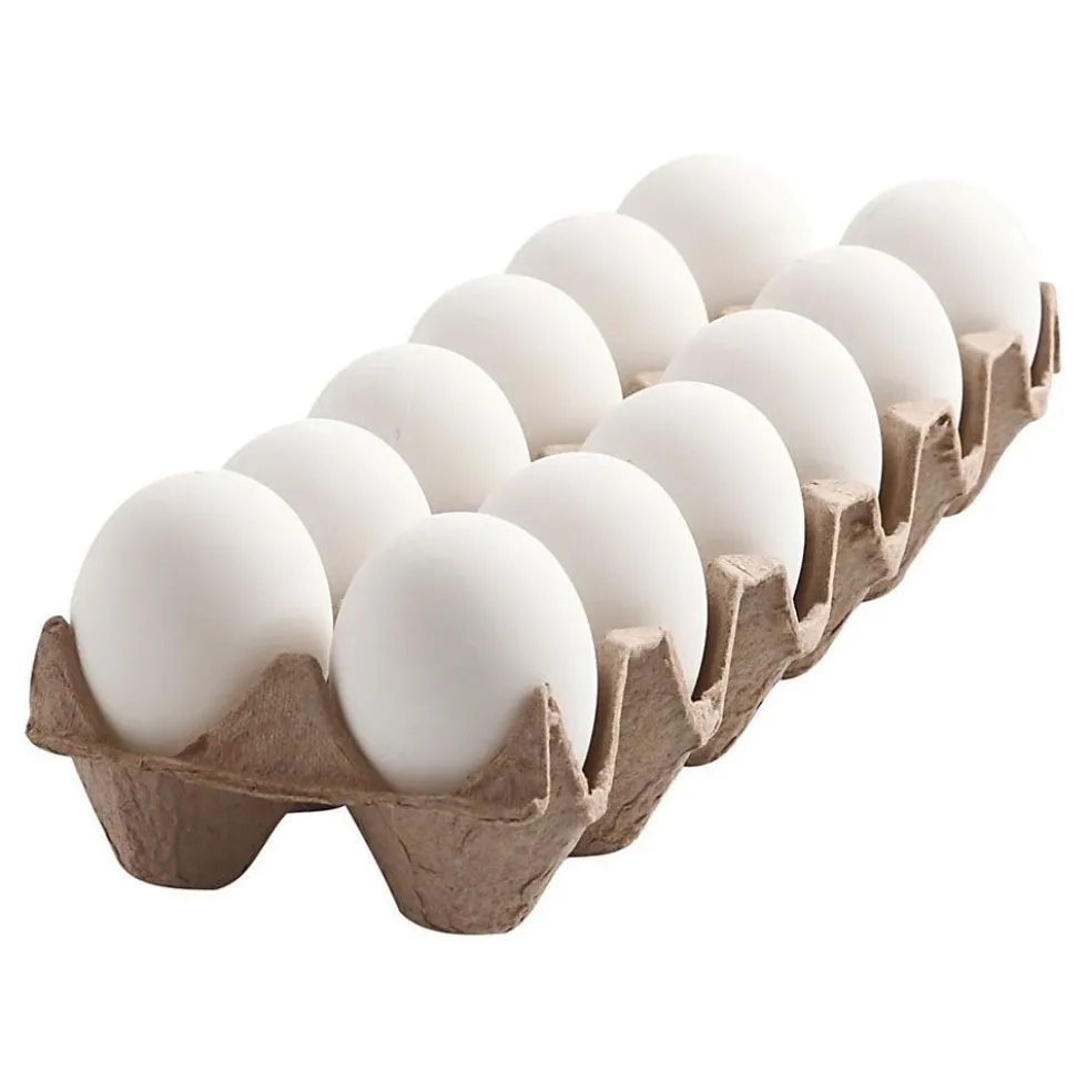 Plastikæg