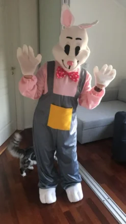 Påskehare Kostume