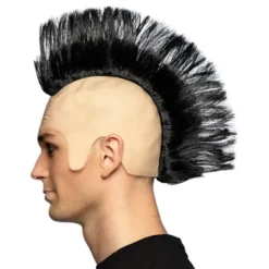 Punkparyk med Hanekam