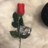Rød Rose