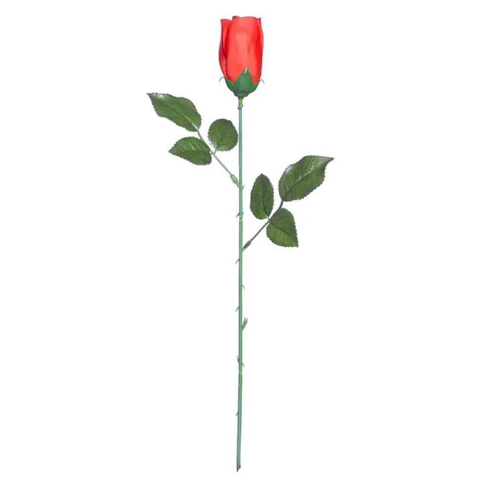 Rød Rose
