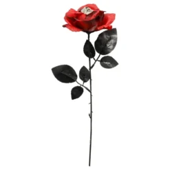 Rød Rose med Øje