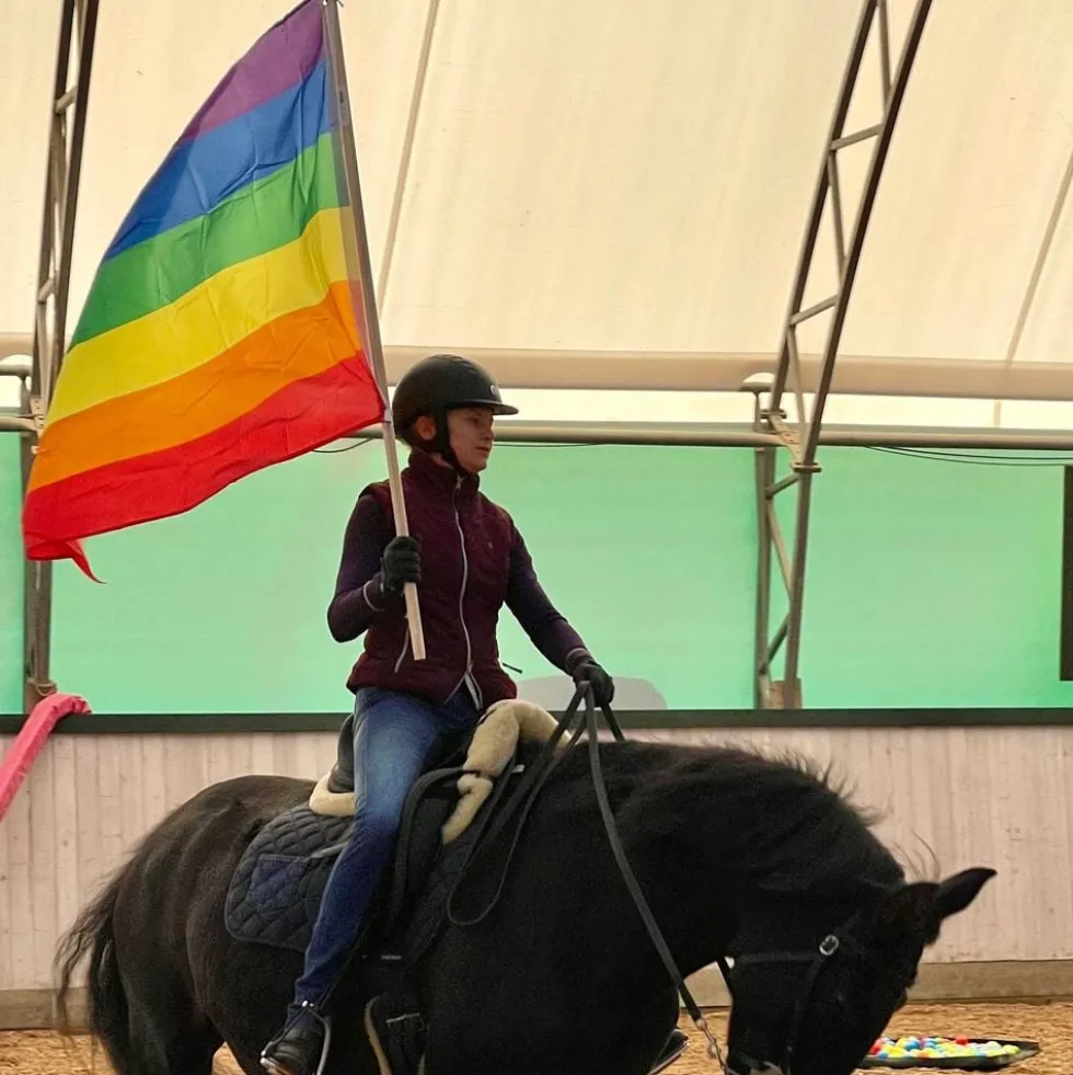 Regnbueflag