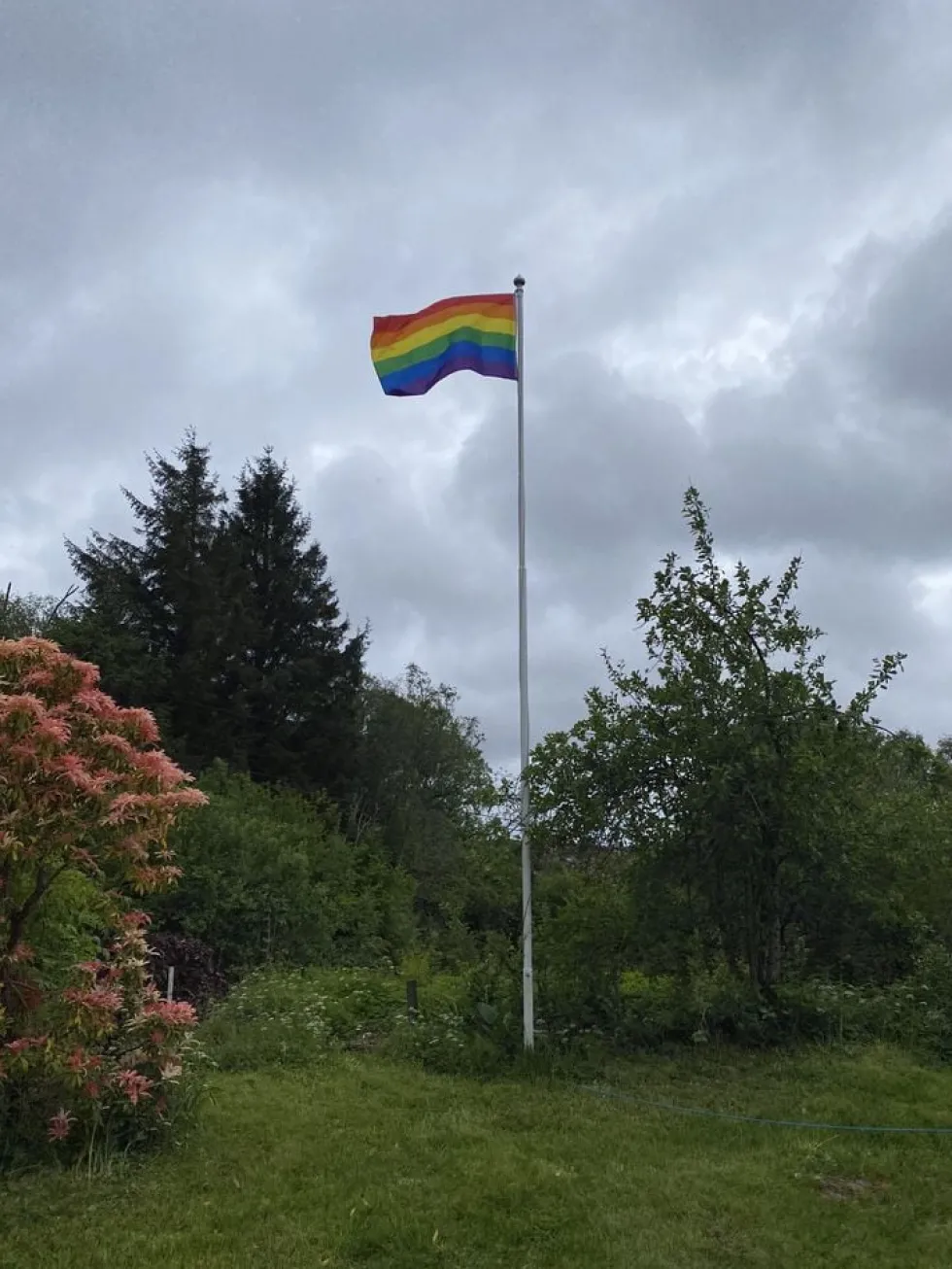 Regnbueflag