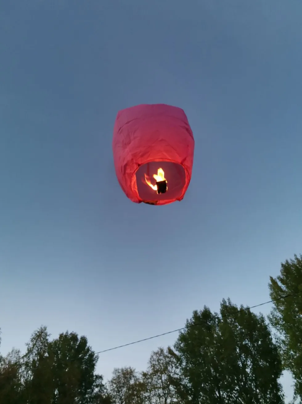 Rislamper Flerfarvede