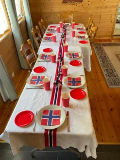 Servietter Norsk Flag