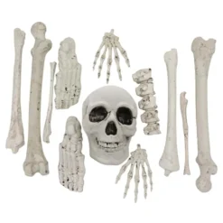 Skeletdele af Plast