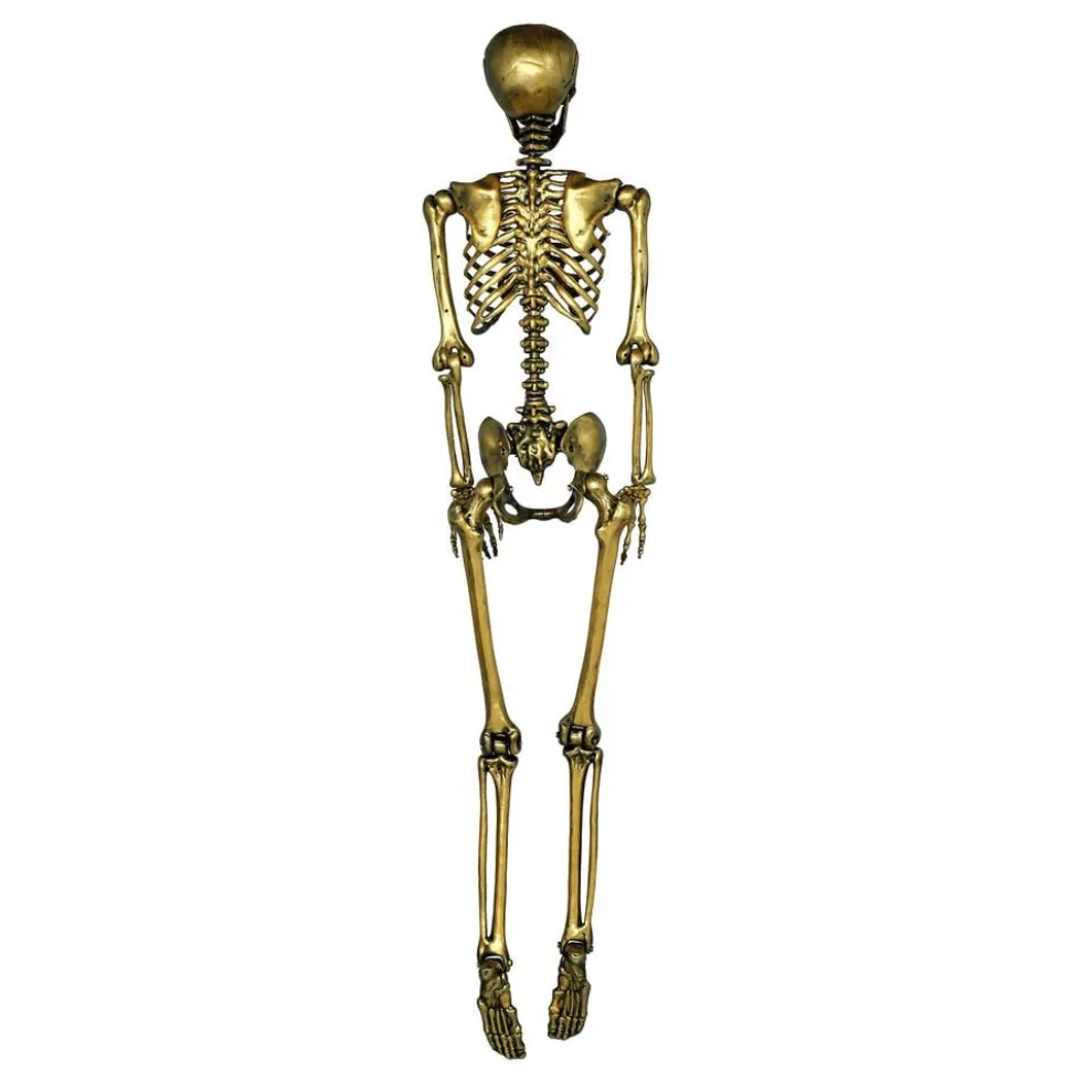 Skelet Guld Prop