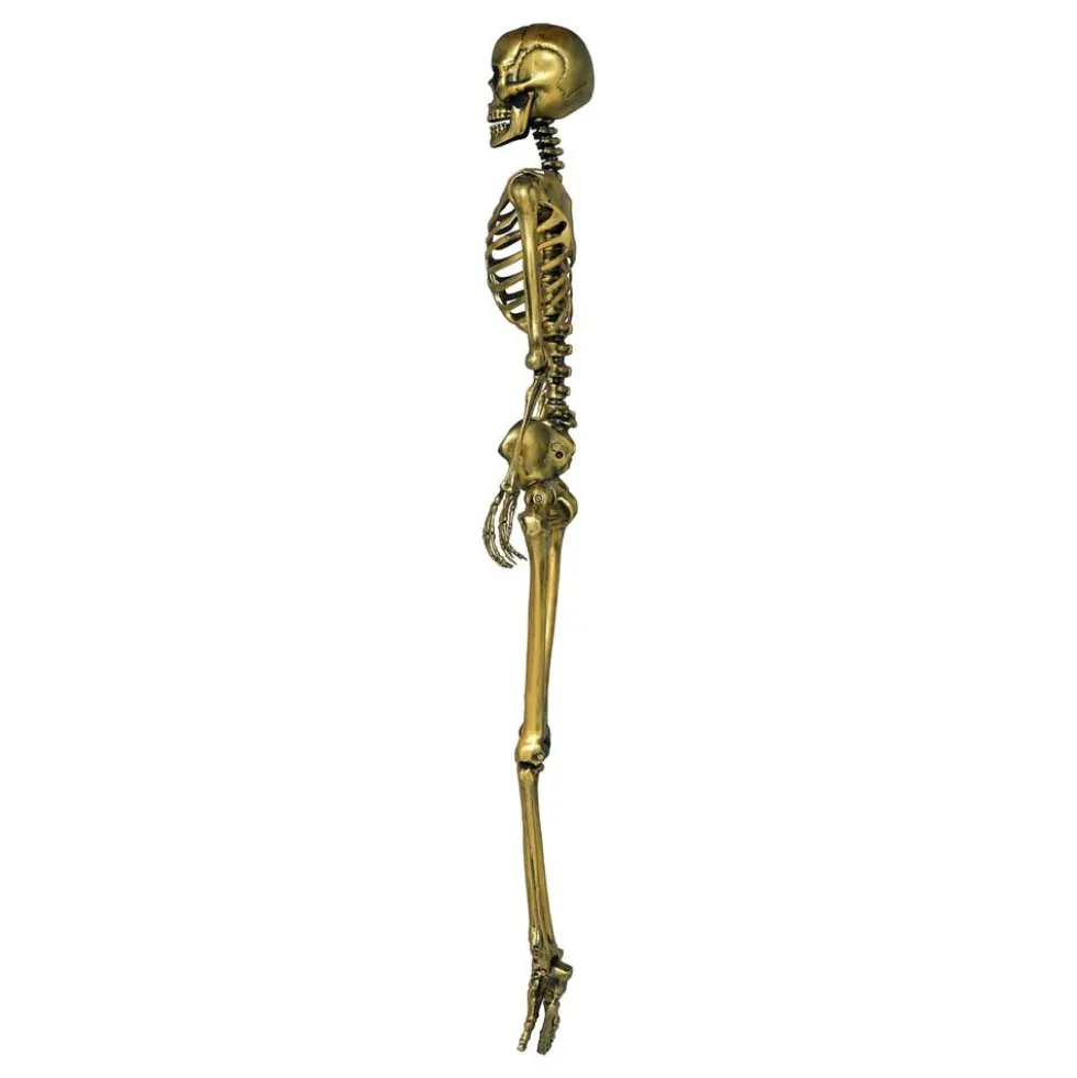 Skelet Guld Prop