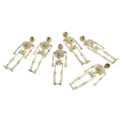Skelet i Pose