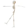 Skelet Rekvisit
