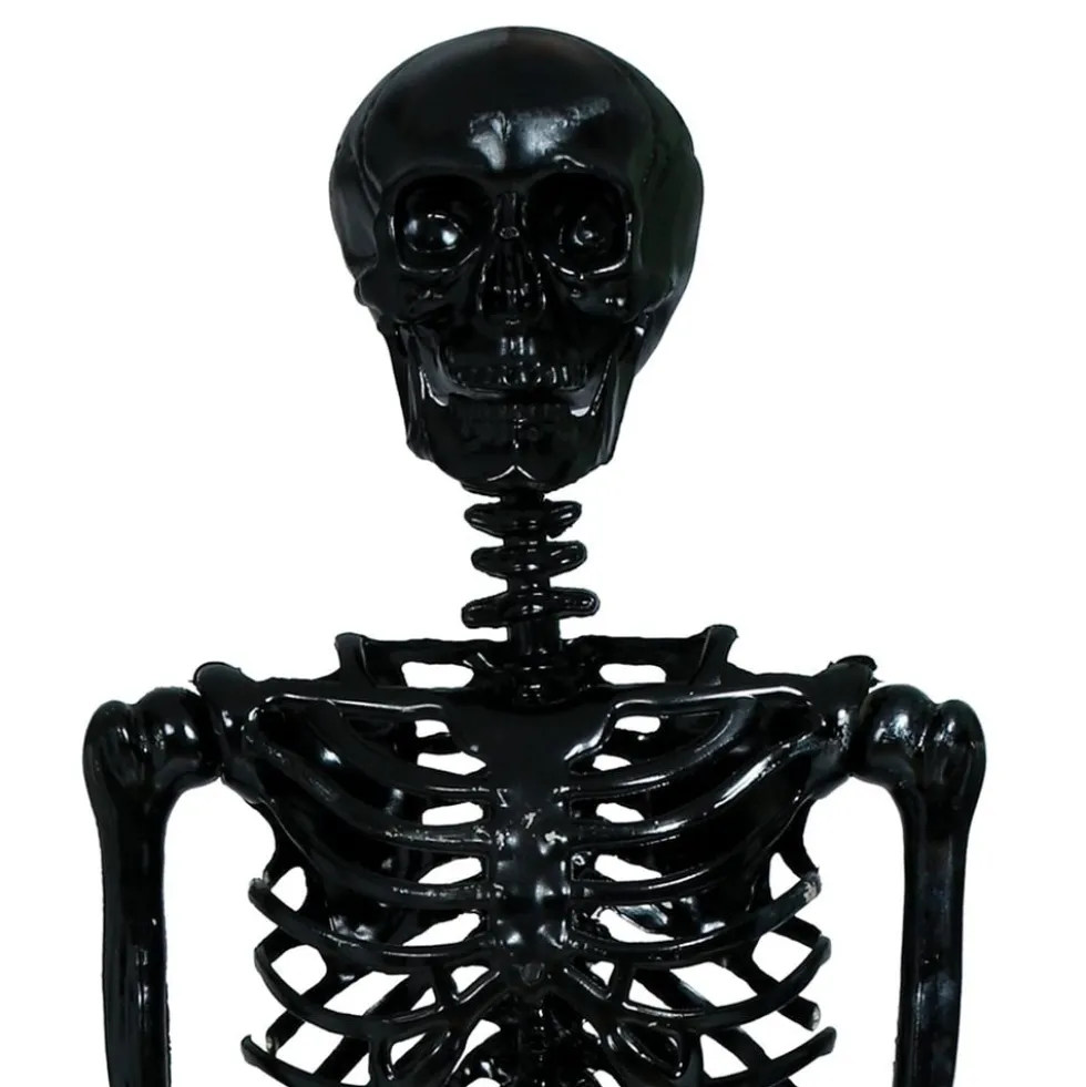 Skelet Sort Prop