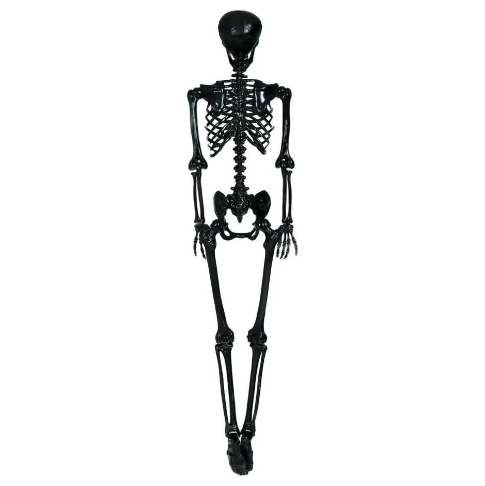 Skelet Sort Prop
