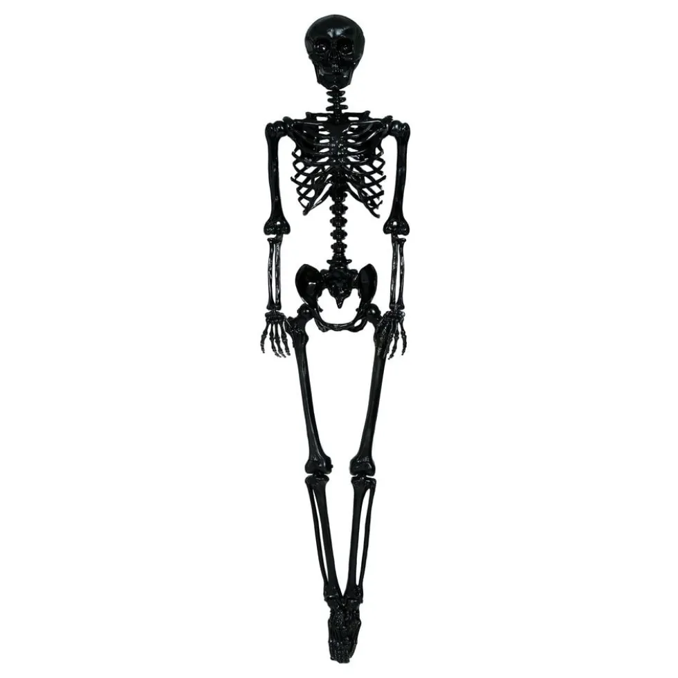Skelet Sort Prop