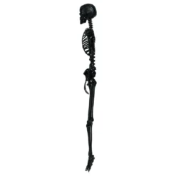 Skelet Sort Prop
